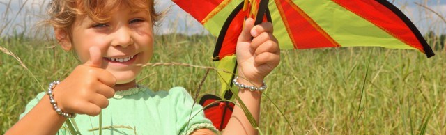Camp kite plane
