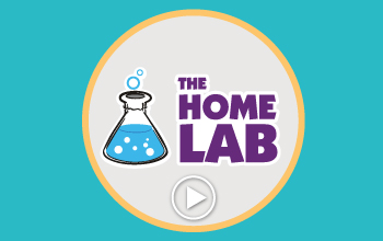 The home lab logo