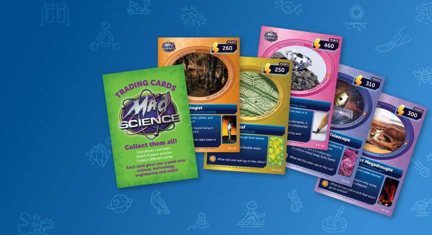 An illustration of our collectible trading cards distributed during our after-school programs.