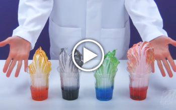 A mad science instructor presenting cabbage in cups with different color liquid.